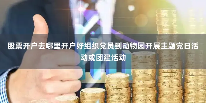 股票开户去哪里开户好组织党员到动物园开展主题党日活动或团建活动