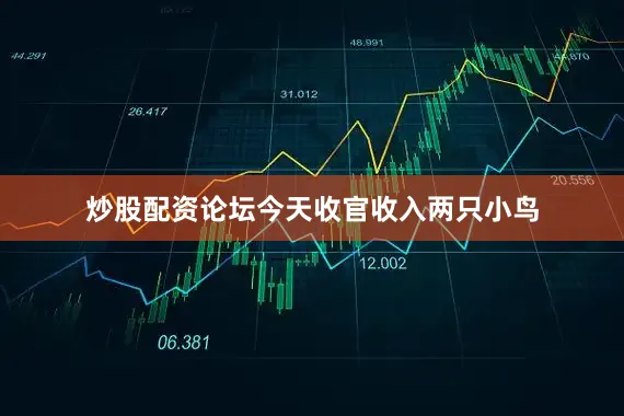 炒股配资论坛今天收官收入两只小鸟