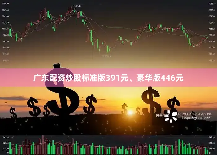 广东配资炒股标准版391元、豪华版446元